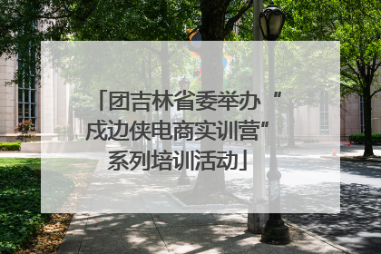 团吉林省委举办“戍边侠电商实训营”系列培训活动