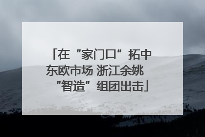 在“家门口”拓中东欧市场 浙江余姚“智造”组团出击