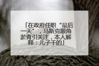 在政府任职“最后一天”，马斯克眼角淤青引关注，本人解释：儿子干的