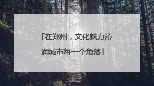 在郑州，文化魅力沁润城市每一个角落