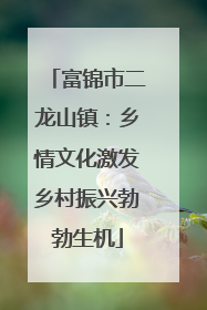 富锦市二龙山镇：乡情文化激发乡村振兴勃勃生机