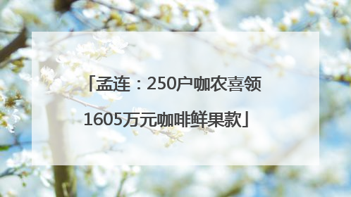 孟连：250户咖农喜领1605万元咖啡鲜果款
