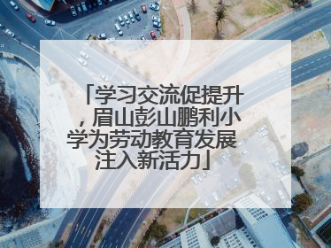 学习交流促提升，眉山彭山鹏利小学为劳动教育发展注入新活力