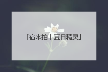 宿来拍丨夏日精灵