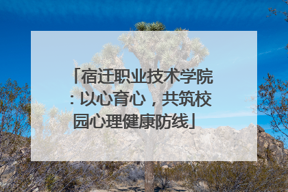 宿迁职业技术学院：以心育心，共筑校园心理健康防线