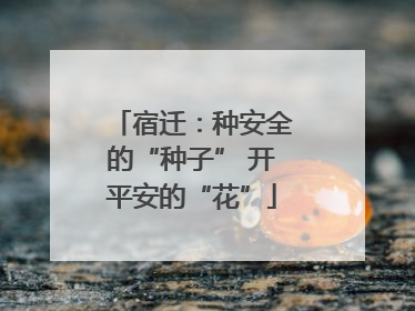 宿迁：种安全的“种子” 开平安的“花”