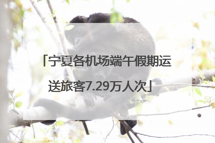 宁夏各机场端午假期运送旅客7.29万人次