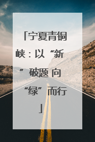 宁夏青铜峡：以“新”破题 向“绿”而行