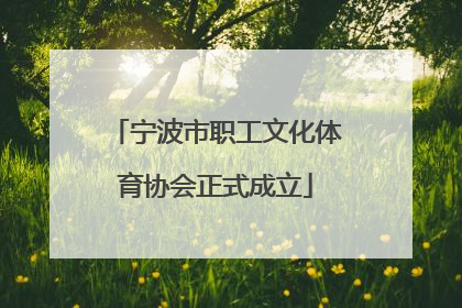 宁波市职工文化体育协会正式成立