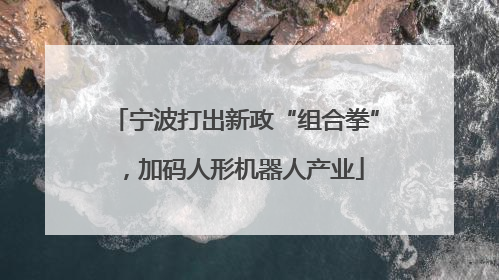 宁波打出新政“组合拳”，加码人形机器人产业