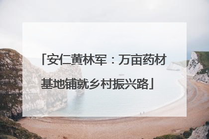 安仁黄林军：万亩药材基地铺就乡村振兴路
