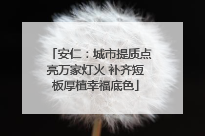 安仁：城市提质点亮万家灯火 补齐短板厚植幸福底色