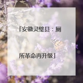 安徽灵璧县：厕所革命再升级