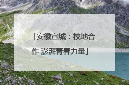 安徽宣城：校地合作 澎湃青春力量