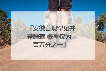 安徽首现罕见并蒂睡莲 概率仅为百万分之一