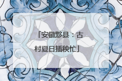 安徽黟县：古村夏日插秧忙