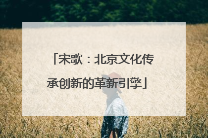 宋歌：北京文化传承创新的革新引擎
