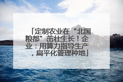 定制农业在“北国粮都”茁壮生长！企业：用算力指导生产，扁平化管理种地