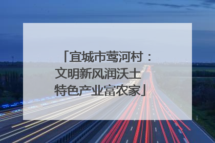 宜城市莺河村：文明新风润沃土 特色产业富农家
