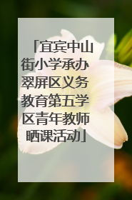 宜宾中山街小学承办翠屏区义务教育第五学区青年教师晒课活动