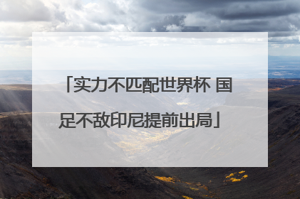 实力不匹配世界杯 国足不敌印尼提前出局