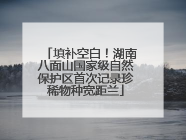 填补空白！湖南八面山国家级自然保护区首次记录珍稀物种宽距兰