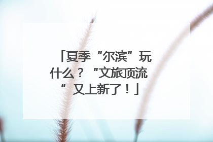 夏季“尔滨”玩什么？“文旅顶流”又上新了！