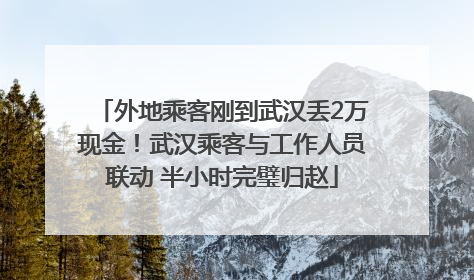 外地乘客刚到武汉丢2万现金！武汉乘客与工作人员联动 半小时完璧归赵