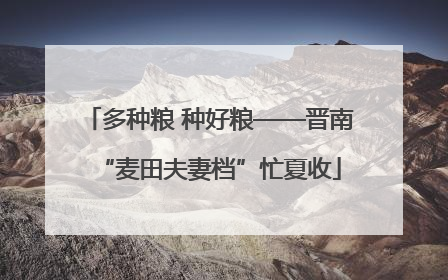 多种粮 种好粮——晋南“麦田夫妻档”忙夏收