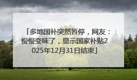 多地国补突然暂停，网友：慢慢变味了，显示国家补贴2025年12月31日结束