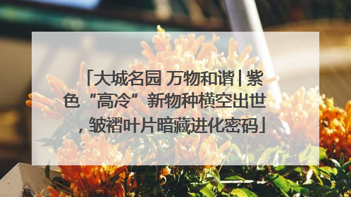 大城名园 万物和谐│紫色“高冷”新物种横空出世，皱褶叶片暗藏进化密码