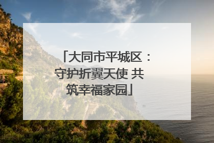 大同市平城区：守护折翼天使 共筑幸福家园