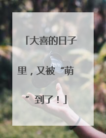 大喜的日子里，又被“萌”到了！