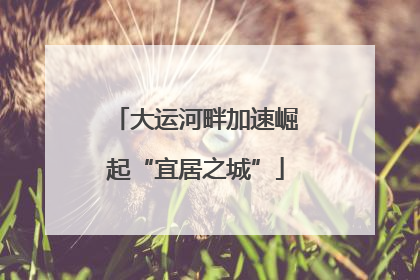 大运河畔加速崛起“宜居之城”