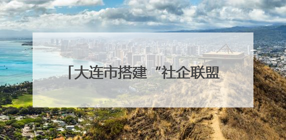 大连市搭建“社企联盟”蹚出党群共富新路子