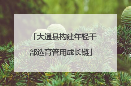 大通县构建年轻干部选育管用成长链