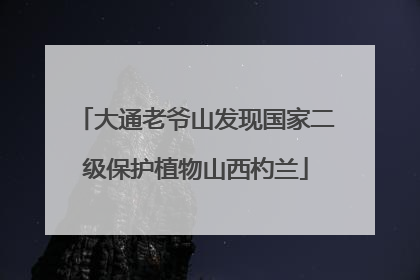 大通老爷山发现国家二级保护植物山西杓兰