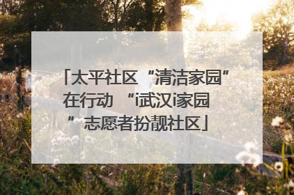 太平社区“清洁家园”在行动 “i武汉i家园”志愿者扮靓社区