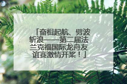 奋楫起航、劈波斩浪——第二届法兰克福国际龙舟友谊赛激情开桨！