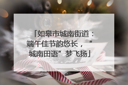 如皋市城南街道：端午佳节韵悠长，“城南田语”梦飞扬