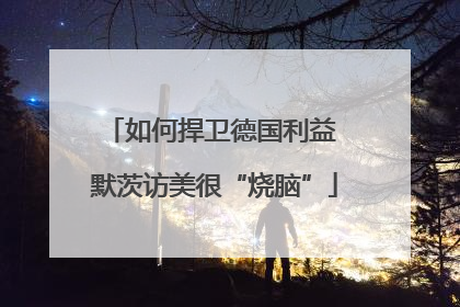 如何捍卫德国利益 默茨访美很“烧脑”