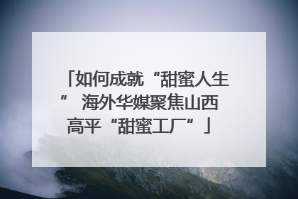 如何成就“甜蜜人生” 海外华媒聚焦山西高平“甜蜜工厂”