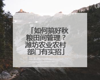 如何搞好秋粮田间管理？潍坊农业农村部门有实招