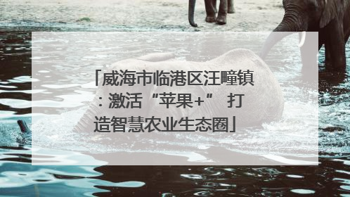 威海市临港区汪疃镇：激活“苹果+” 打造智慧农业生态圈