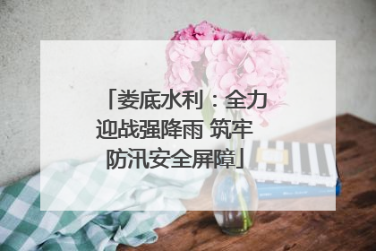 娄底水利：全力迎战强降雨 筑牢防汛安全屏障