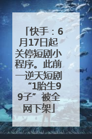 快手：6月17日起关停短剧小程序。此前一逆天短剧“1胎生99子”被全网下架
