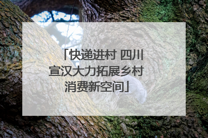 快递进村 四川宣汉大力拓展乡村消费新空间