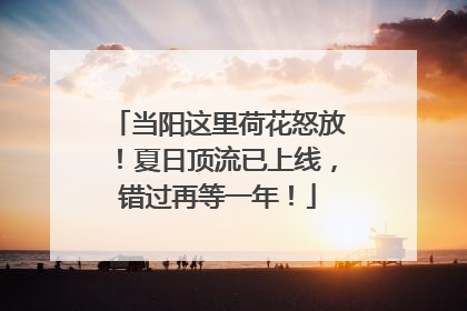 当阳这里荷花怒放！夏日顶流已上线，错过再等一年！
