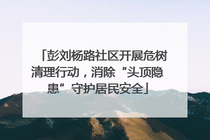 彭刘杨路社区开展危树清理行动，消除“头顶隐患”守护居民安全