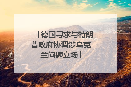 德国寻求与特朗普政府协调涉乌克兰问题立场